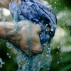 Plant Dyeing Process using Indigo